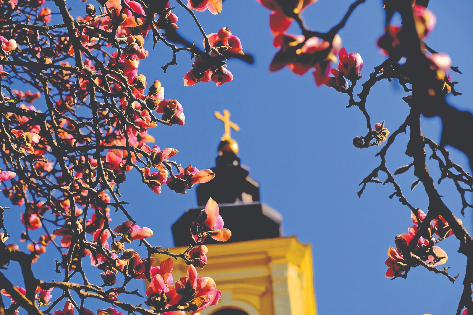 Reactia Episcopiei OrTODOxe din Oradea Ratacirea poate fi intampinata cu iubire