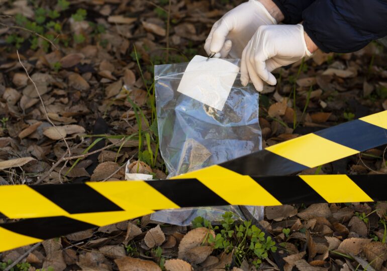 Autorul crimei din Voivozi a fost condamnat
