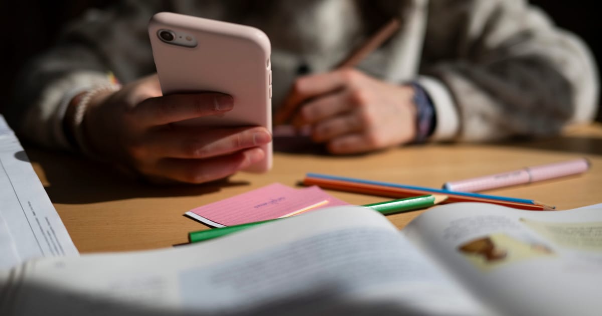 Suedia incurajeaza UE sa restricioneze retelele sociale pentru copii