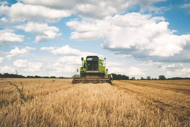 Acuzaii noi mpotriva administratorului unui productor agricol