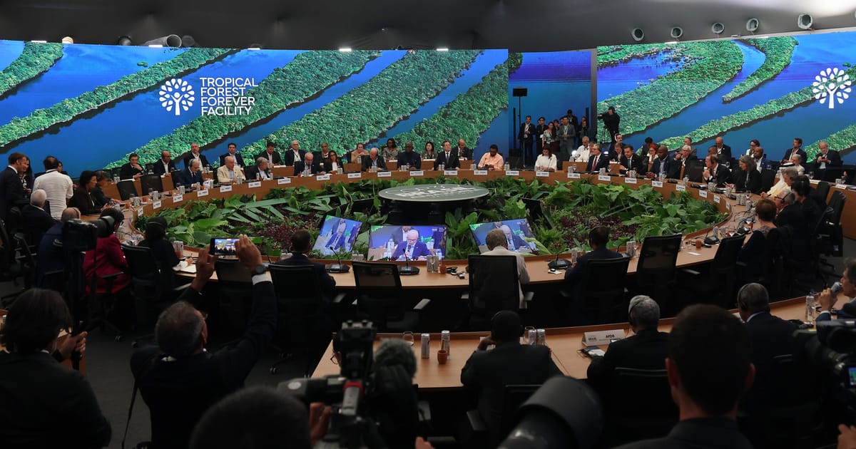 Germania vrea sa evite sa devina gazda UN pentru clima