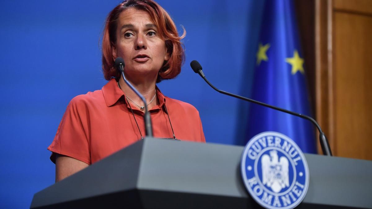 Parlamentul a aprobat candidatura Ioanei Dogioiu