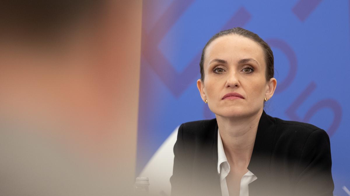 Care este mandatul Romaniei la Davos Oana Toiu Include si o componenta de diplomatie care se refera la