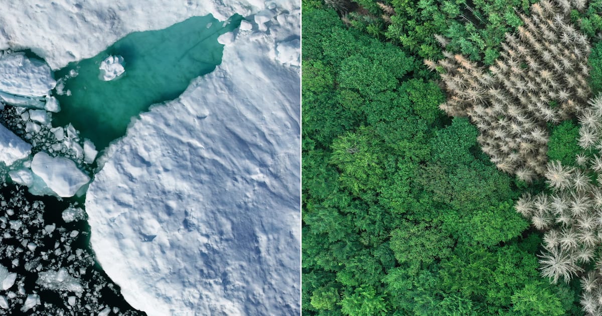 Groenlanda sau Islanda Stii care este distinctia