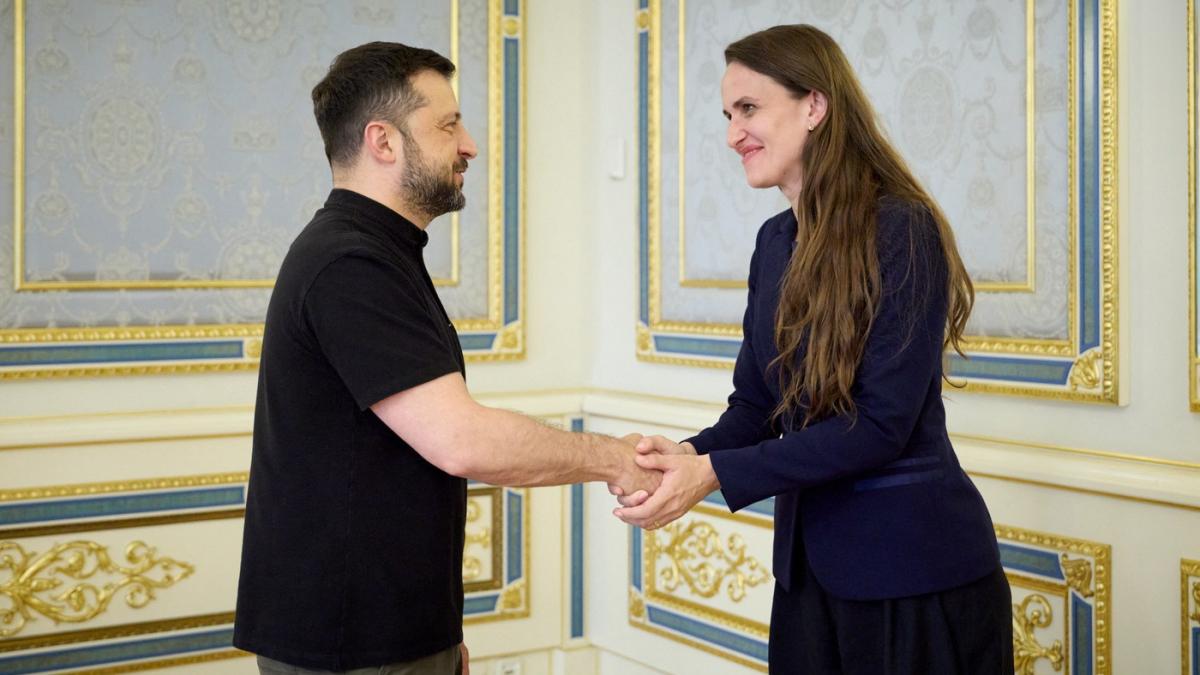 Triunghiul Odesa Oana Toiu anunta constituirea Triplei Alianta Cibernetica care cuprinde