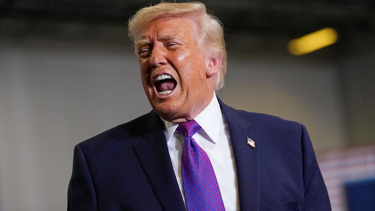 Donald Trump critica NATO intr un mod fara precedent Sunt fricosi Un tigru de hartie