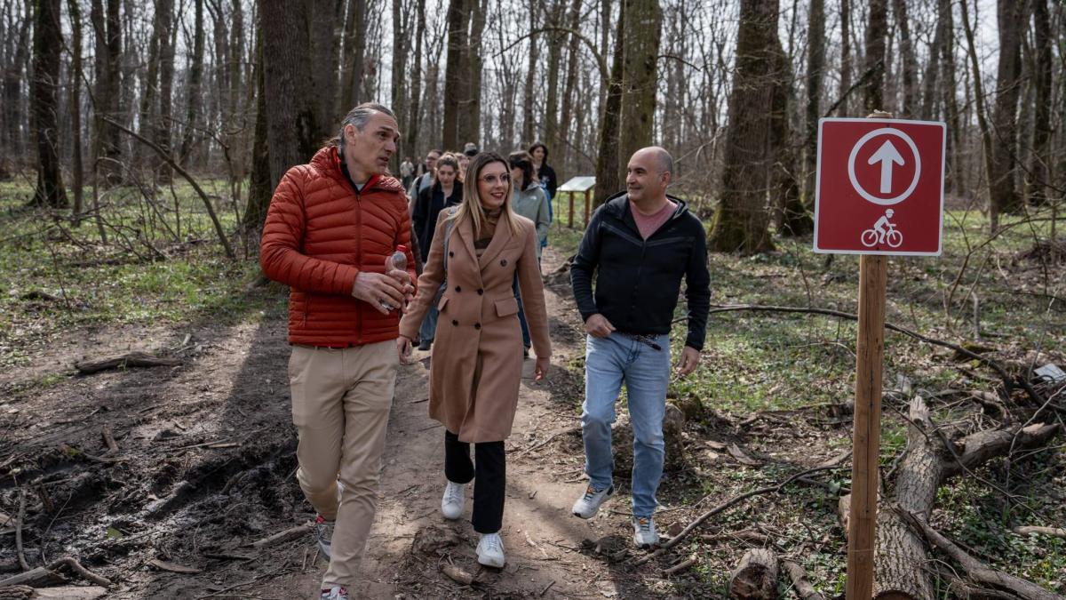 Un nou pas pentru declararea Padurii Baneasa ca arie protejata Buzoianu Plamanul verde pentru