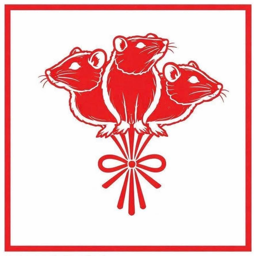 Becul aprins in camara si soricelii presedintelui cum Nicusor Dan l a predat pe mana PSD pe singurul om care facea curat