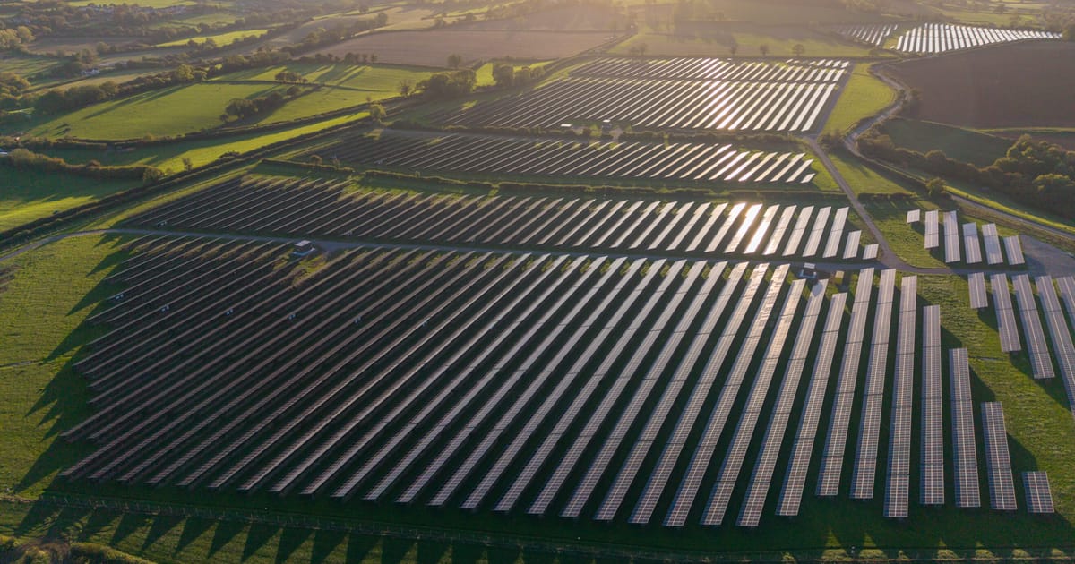 Farage nu poate impiedica fermele solare uriaset ale Labour admite seful de energie al Reform