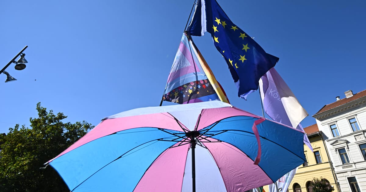 UE sustine ca interdictia terapiei de conversie pentru LGBTQ ar trebui sa fie o decizie a tarilor nu a Bruxelles ului