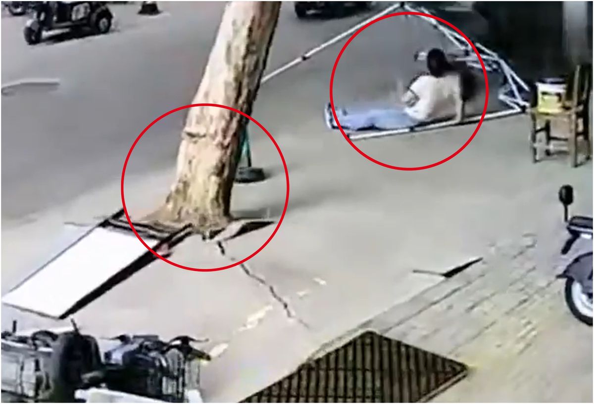 incident dramatic provocat de furtuna momentul in care o femeie este surprinsa sub un copac doborat de vant