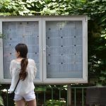 Evaluarea contestaiilor la Bacalaureatul 2026 s a finalizat Ce mesaj transmite ministrul