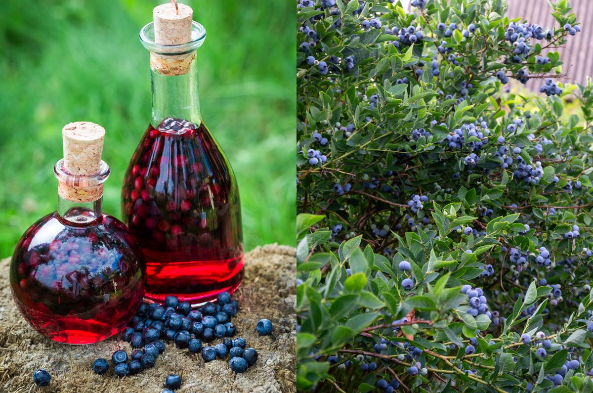 Afinata de casa parfumata si clara Trucul simplu care face diferenta Cat timp trebuie sa stea la macerat