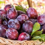 Cat este preul kilogramei de prune in pietele din Romania De ce oamenii nu se inghesuie sa le achizitioneze