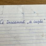 Ce inseamna a cusai Regionalismul din Maramures pe care putini il cunosc