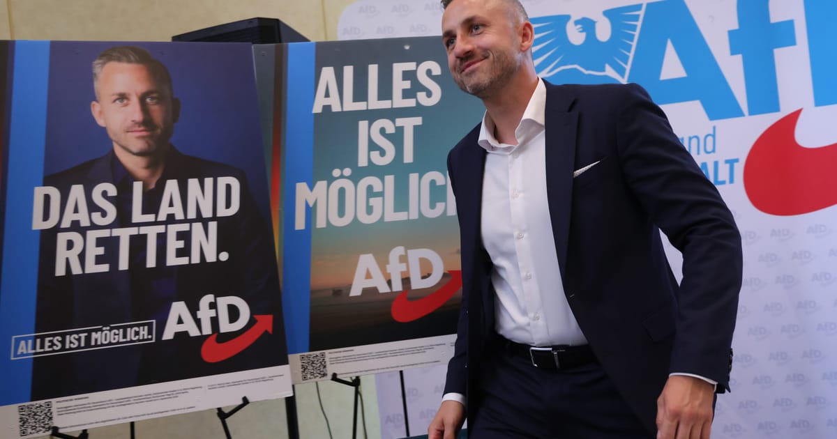 Establishmentul din Germania are un plan pentru a contracara extrema dreapta Aproape