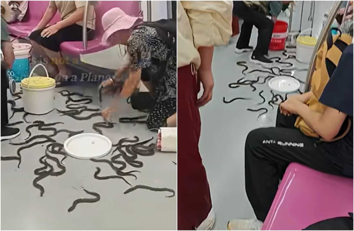 Momente de panică la metrou în China. Zeci de țipători au fugit într-un vagon plin cu pasageri - VIDEO 4 Momente de panica la metrou in China Zeci de tipatori au fugit intr un vagon plin cu pasageri VIDEO