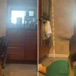 Câinele tău e un psihopat. Reacția unui patruped când stăpâna s-a prefăcut că se sufocă