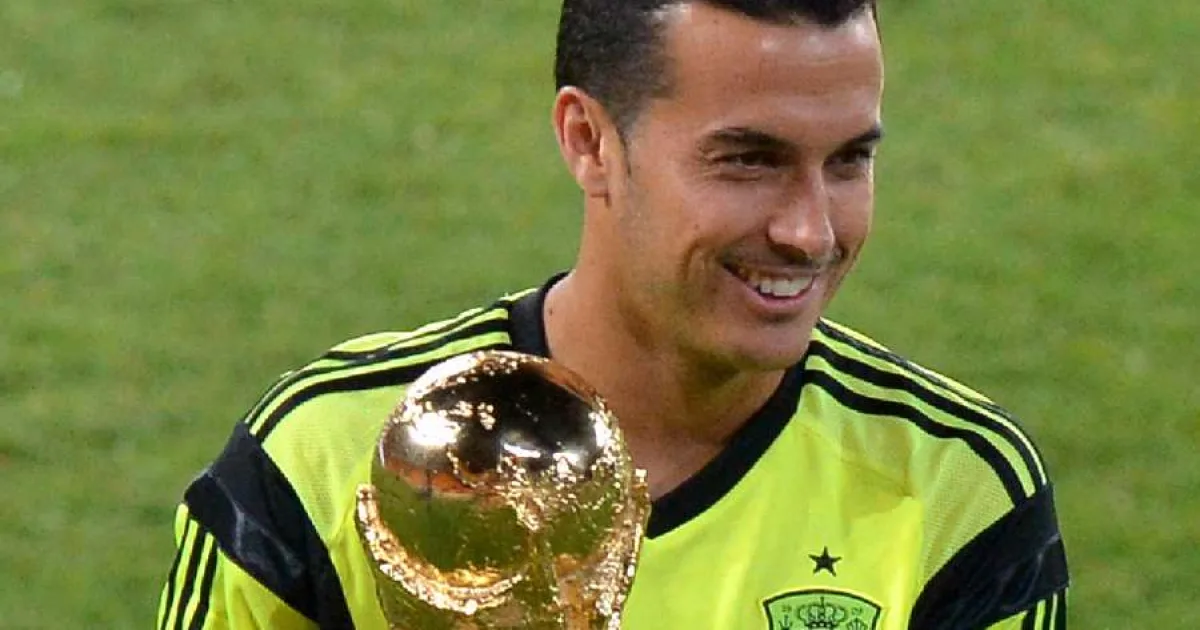 Un campion mondial cu Spania s-a retras din fotbal 2 Un campion mondial cu Spania s-a retras din fotbal